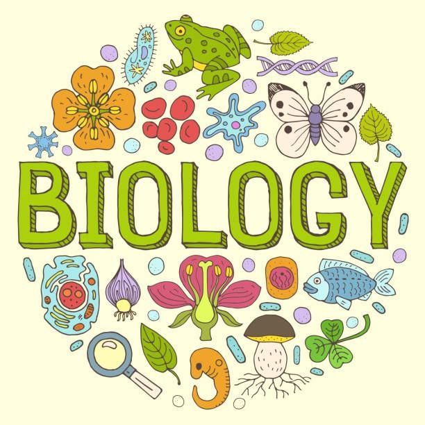 Biology (theory)
